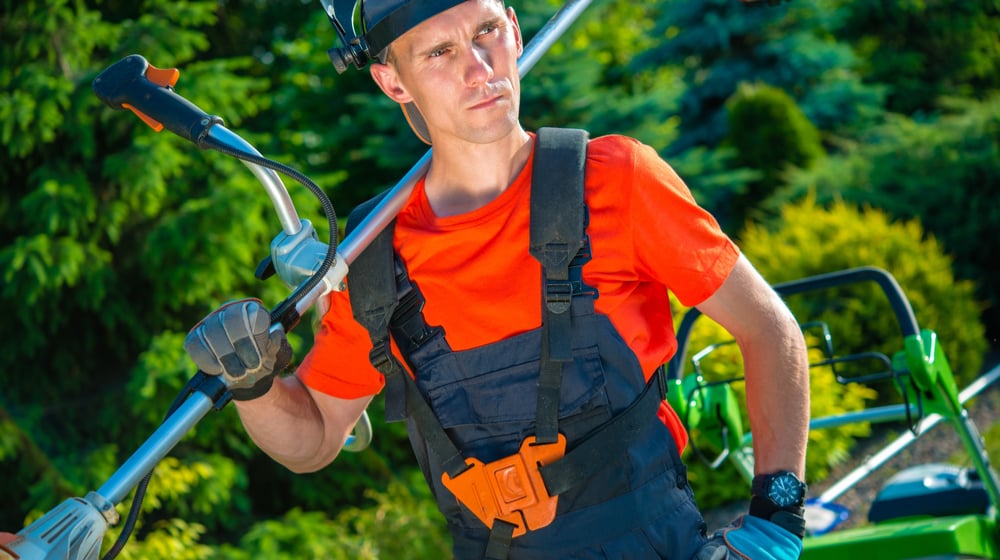 More H2-B Visas for Landscaping Needed