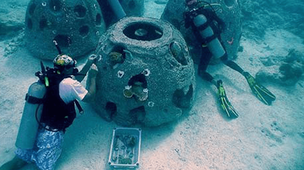 Unique Business Ideas