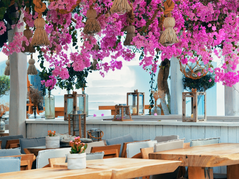 travel business ideas